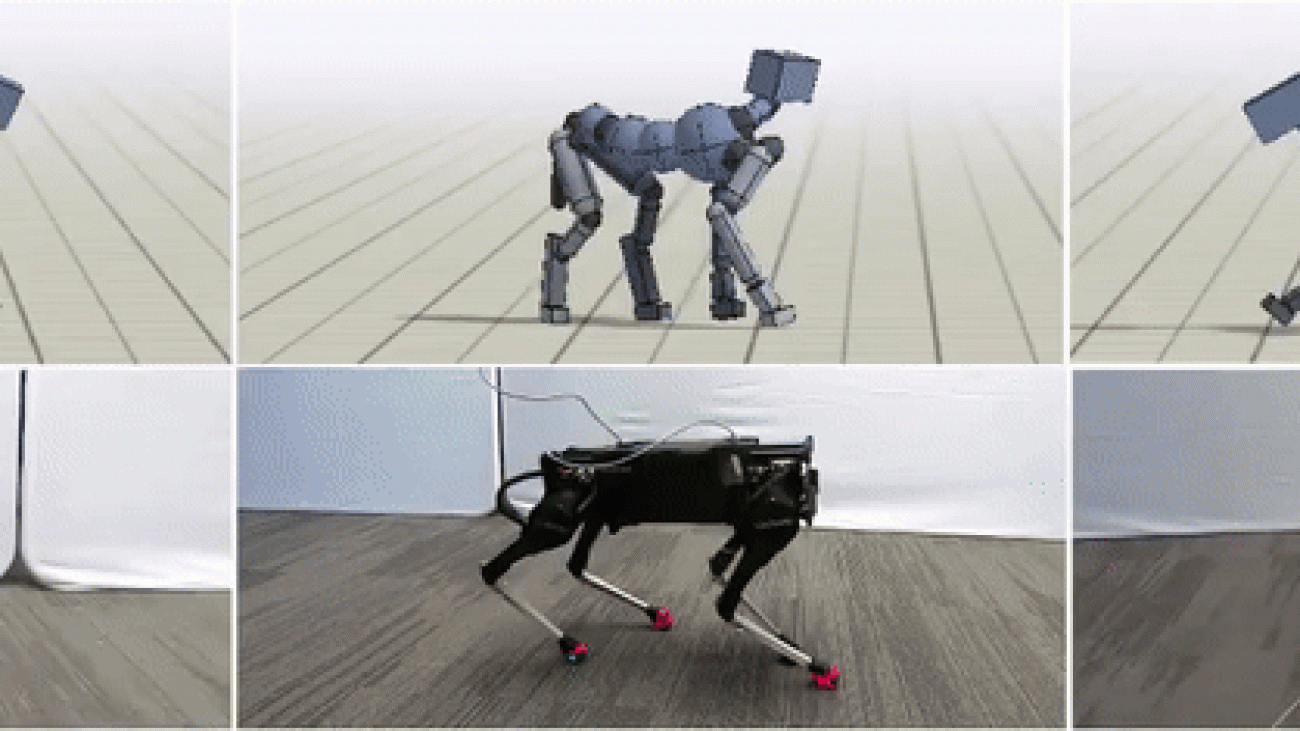 Robots Learning to Move like Animals