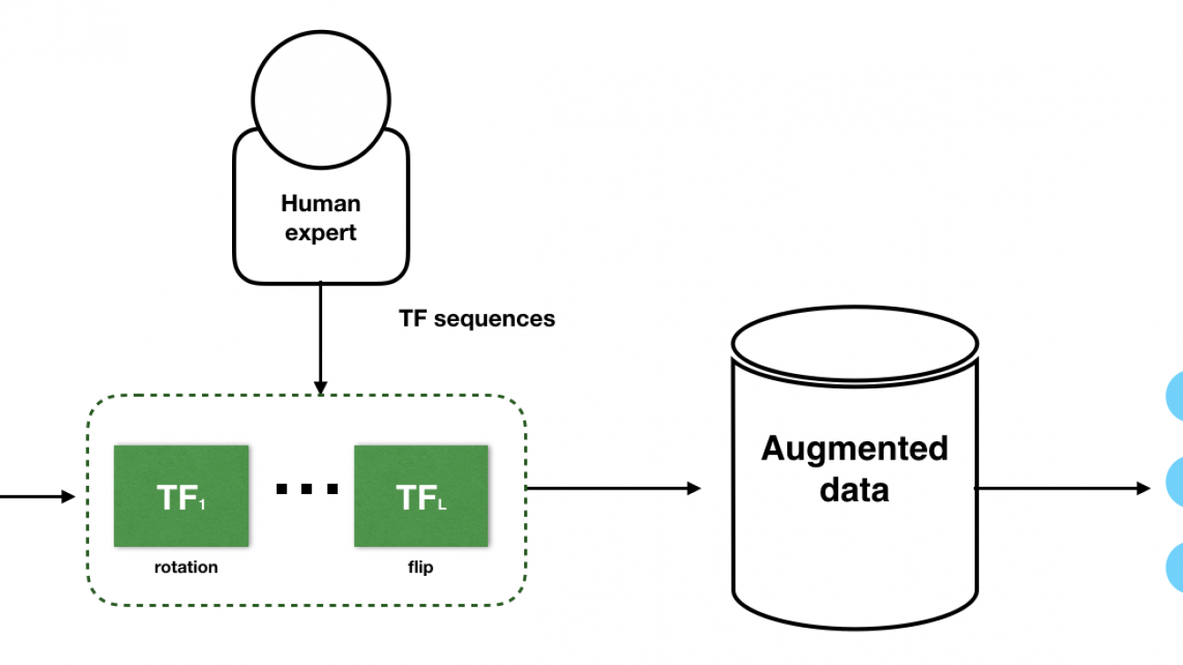 Automating Data Augmentation: Practice, Theory and New Direction