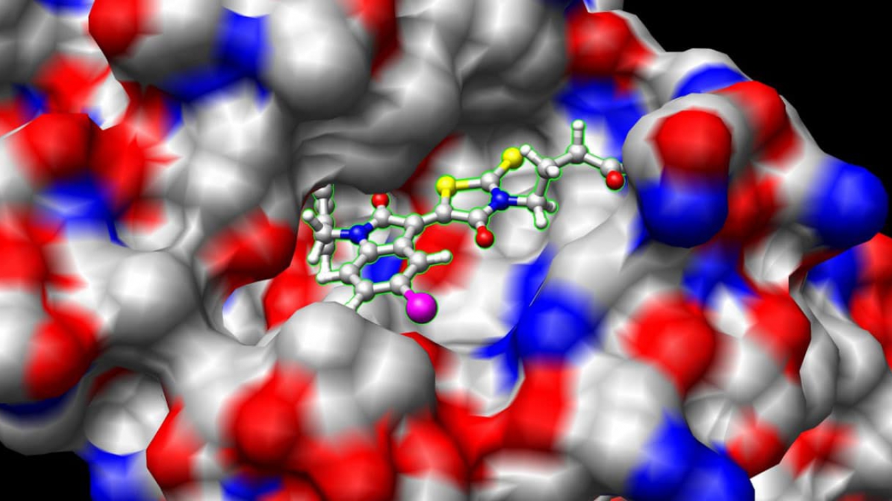 Screening for COVID-19: Japanese Startup Uses AI for Drug Discovery