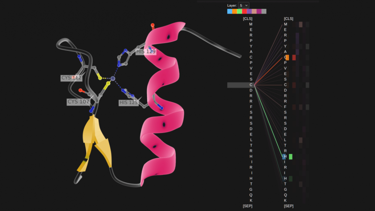 Learning Life’s ABCs: AI Models Read Proteins to Fight COVID-19