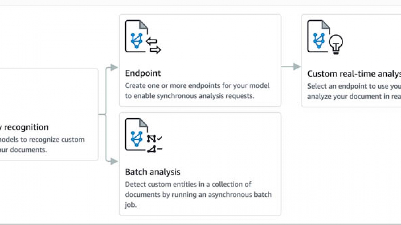 Announcing the launch of Amazon Comprehend custom entity recognition real-time endpoints