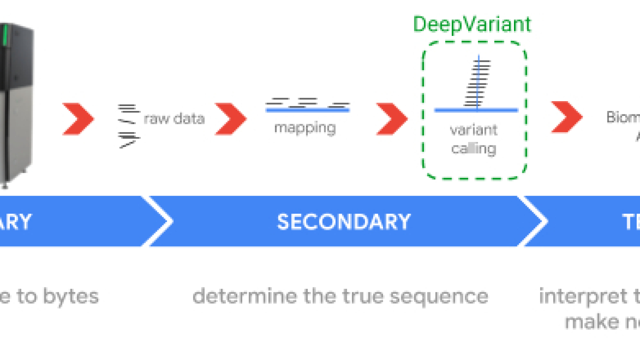 Improving the Accuracy of Genomic Analysis with DeepVariant 1.0