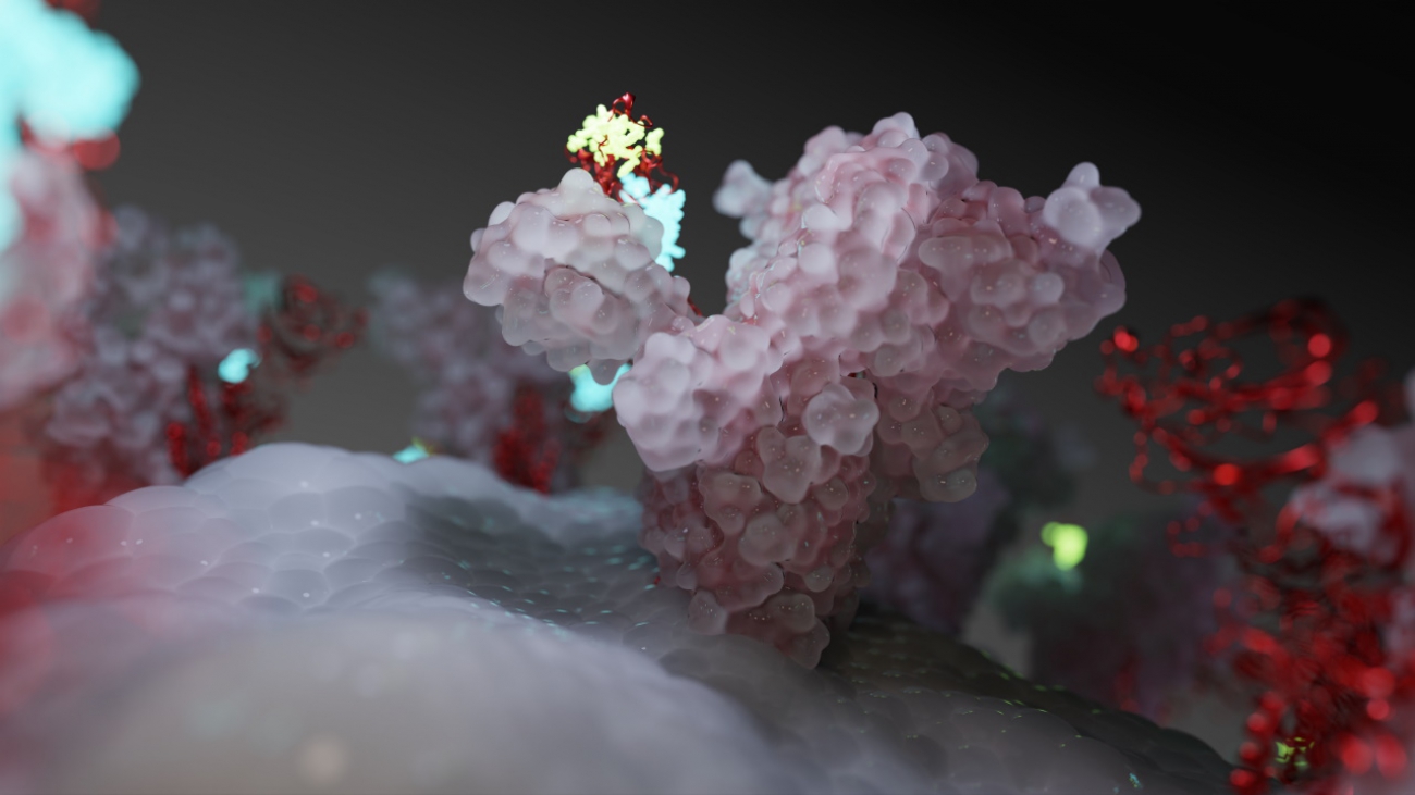 Coronavirus Gets a Close-Up: Folding@home Live in NVIDIA Omniverse