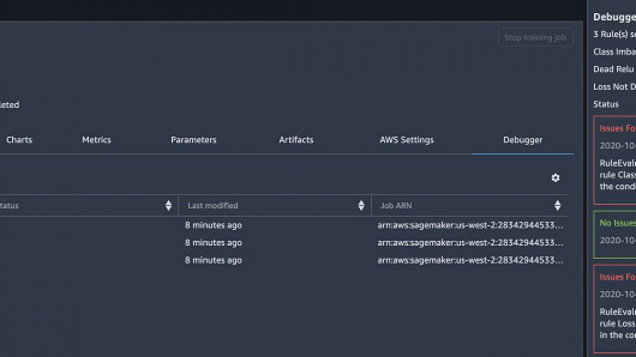 Detecting hidden but non-trivial problems in transfer learning models using Amazon SageMaker Debugger