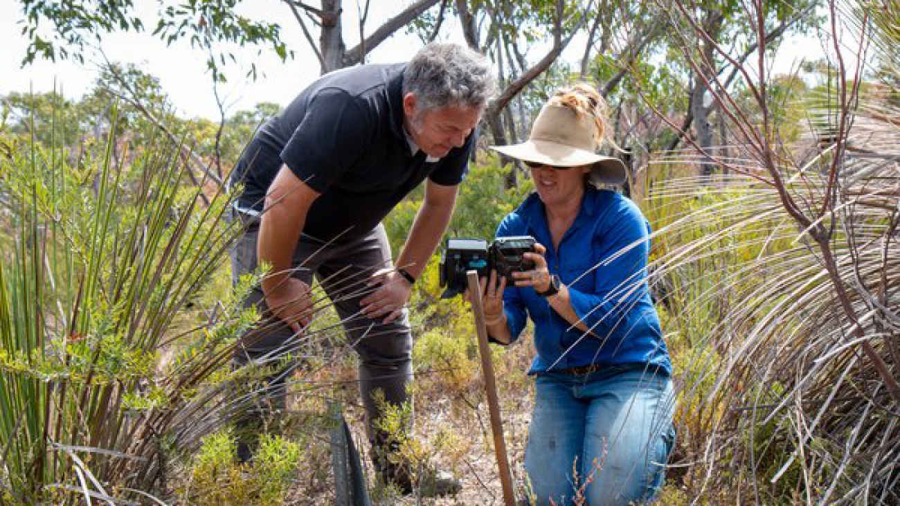 AI helps protect Australian wildlife in fire-affected areas