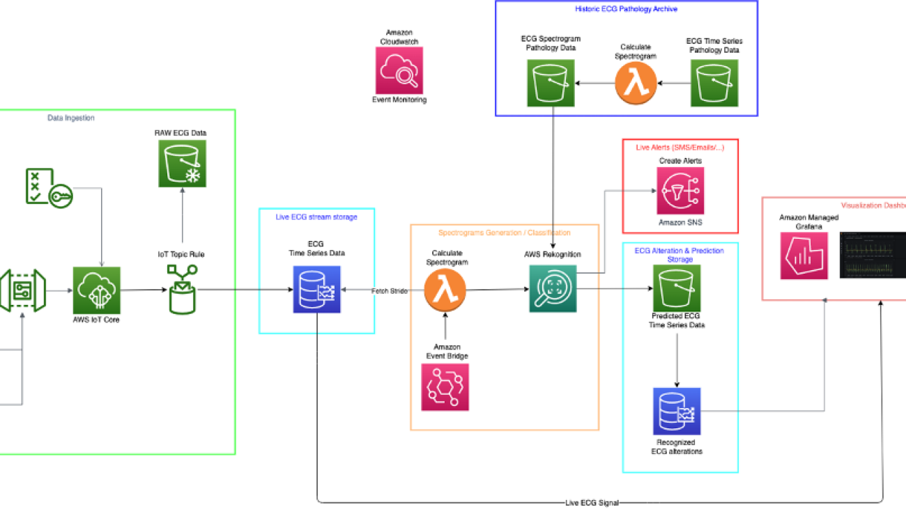 AWS Cloud technology for near-real-time cardiac anomaly detection using data from wearable devices