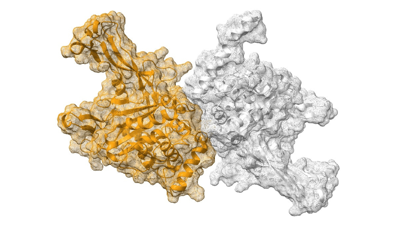 Qubit Pharmaceuticals Accelerates Drug Discovery With Hybrid Quantum Computing