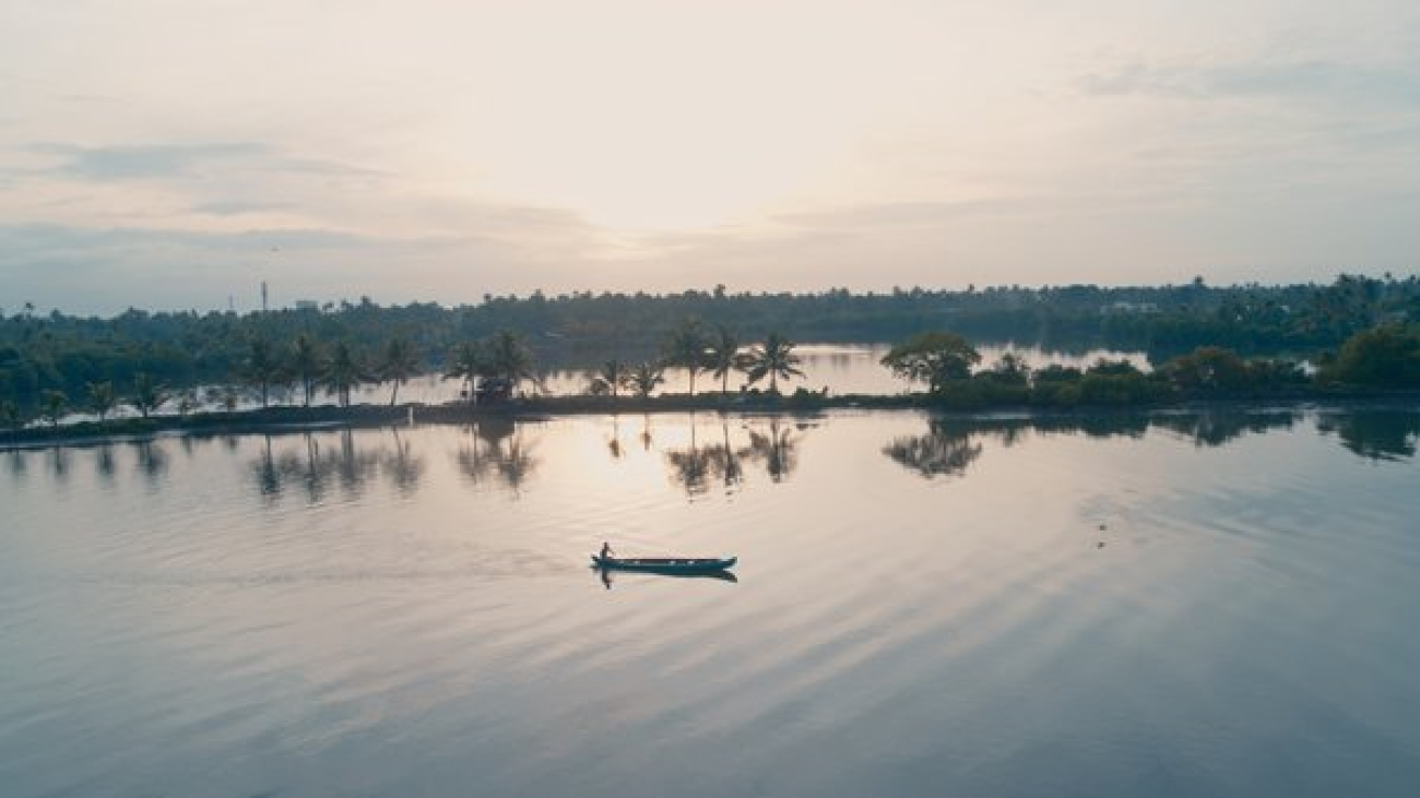 How we're using AI to help address the climate crisis