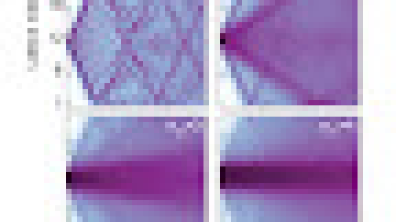 Formation of Robust Bound States of Interacting Photons