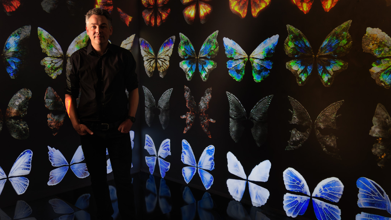 Butterfly Effects: Digital Artist Uses AI to Engage Exhibit Goers