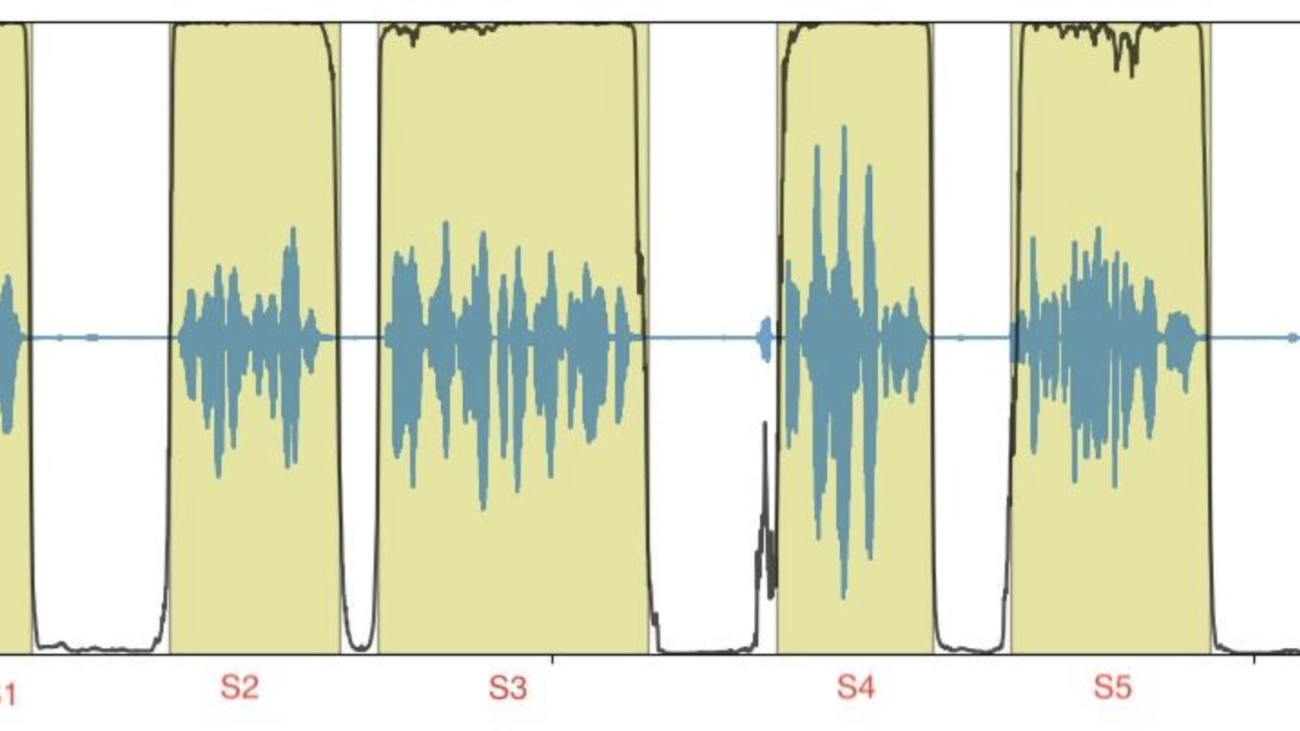 Optimizing LibTorch-based inference engine memory usage and thread-pooling