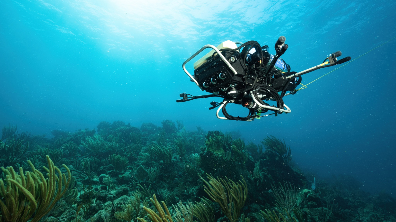 Turning the Tide on Coral Reef Decline: CUREE Robot Dives Deep With Deep Learning