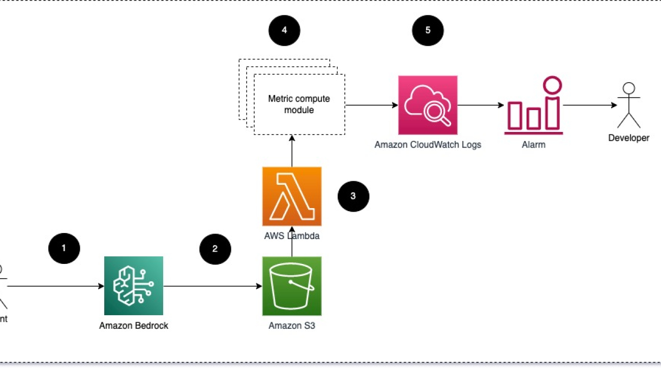 Techniques and approaches for monitoring large language models on AWS